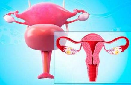 什么样的子宫内膜最利于怀孕？