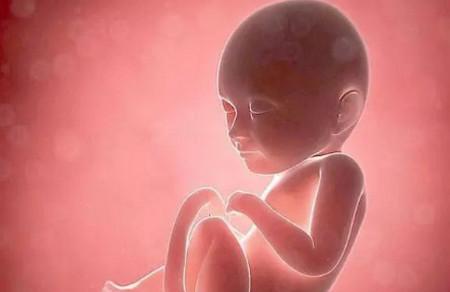 宝宝胎心率多少正常？从胎心率能看出宝宝性别吗？