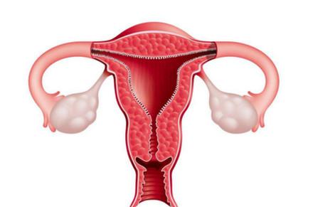 子宫内膜薄会影响到好孕吗？