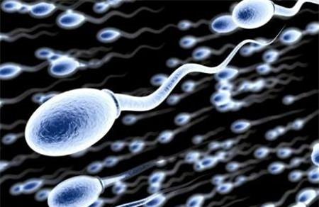 y精子在女性体内可存活多久 y精子真的不耐酸吗？