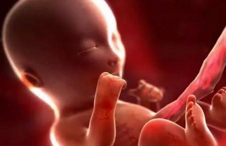 胎儿发育是否健康，准妈妈知道这3点就够了！