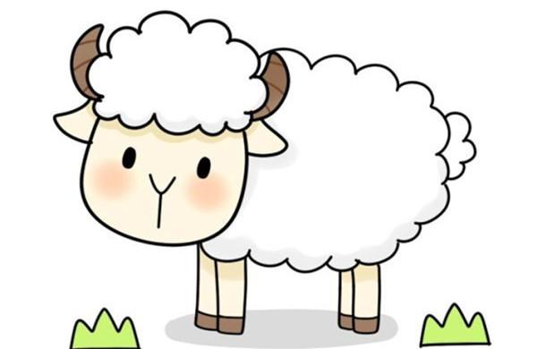 吃草的羊简笔画的画法