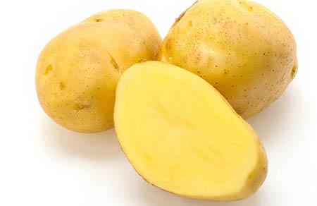 薄荷可以和鸡一起吃吗