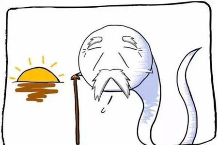 男性备孕期间禁欲多久 不要盲目禁欲