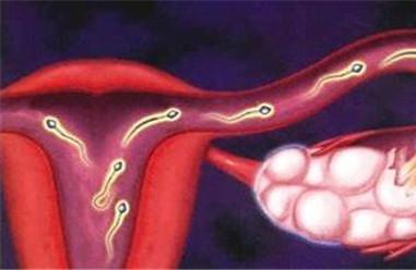 排卵期出血会影响受孕吗 排卵期出血怎么办呢？