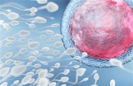 排卵期出血可以同房吗 同房也要讲究时机