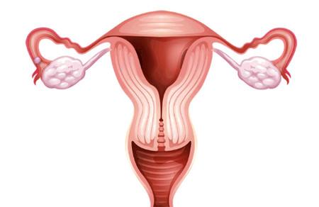 想要受精卵成功着床，这些你得知道！