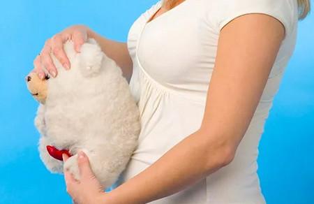 如何预防胎停孕 孕前保健按时产检