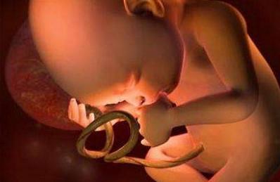 孕期体重关乎宝宝健康，该如何控制既安全又保持身材！