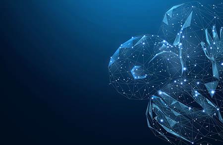 中班社会乘公交车教案