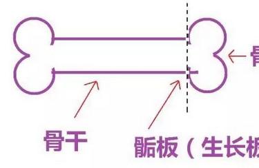 5月长高加速期，能不能长到180cm就看它了！