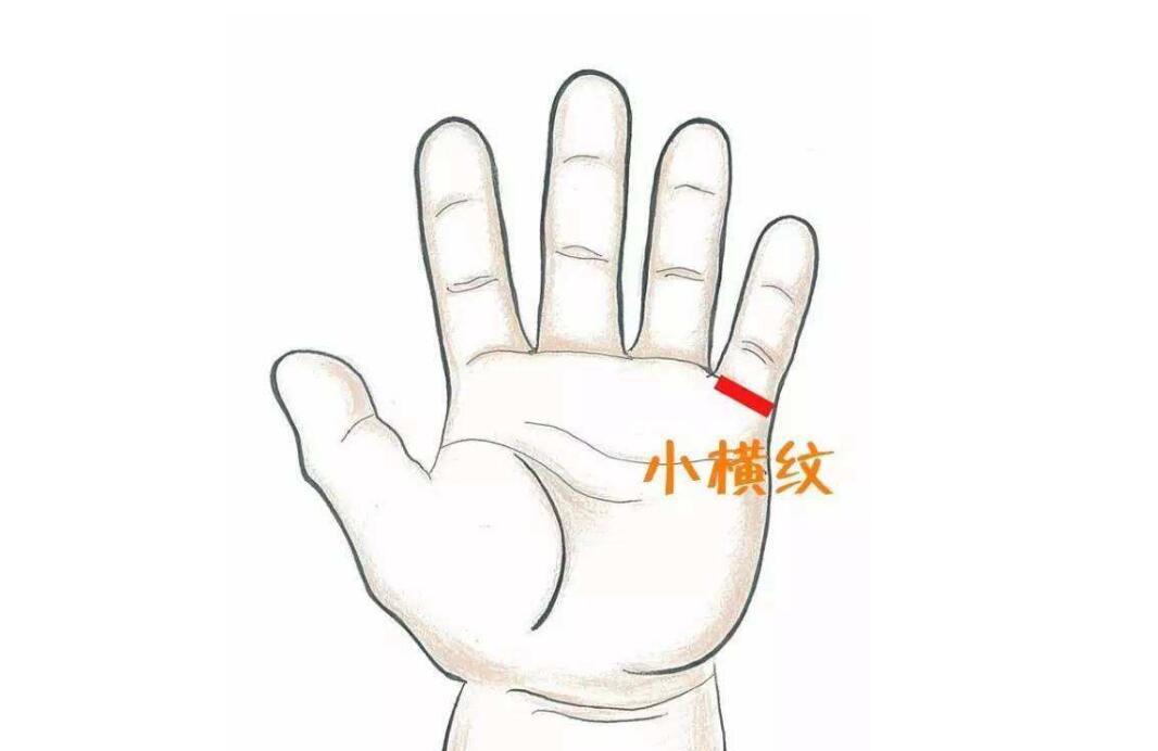 小儿推拿推小横纹的手法是什么