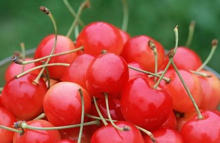 孩子吃樱桃有什么好处？你们肯定想不到！