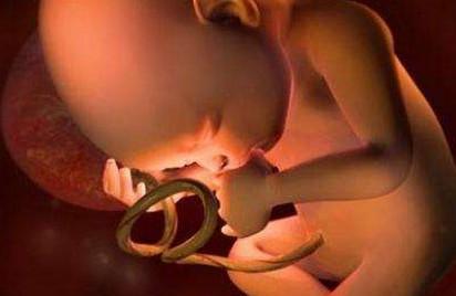 胎儿过大或过小是什么原因？多大算正常？