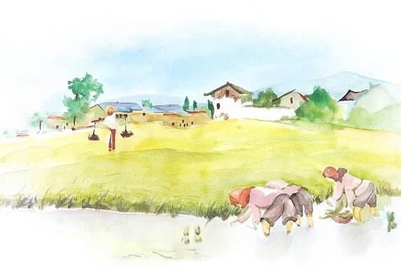 描写芒种的诗句古诗