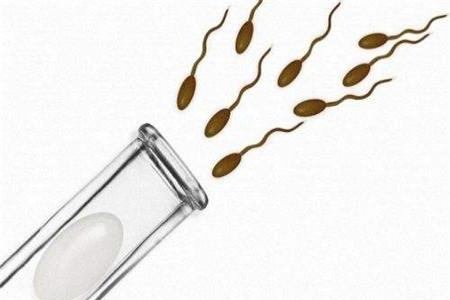 试管婴儿打促排卵针可以同房吗 不要想当然