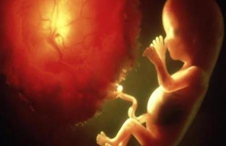 胎宝宝在肚子里能看见光吗？