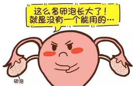 卵泡长不大是什么原因？该怎么办？