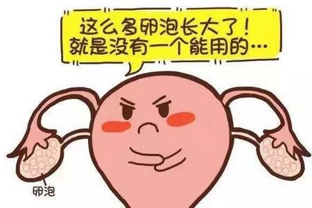 卵泡长不大是什么原因？该怎么办？