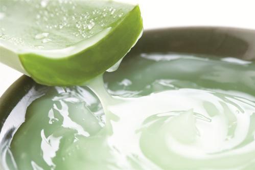 儿童可以用芦荟胶吗