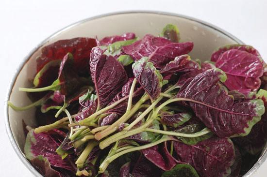 多大的宝宝可以吃苋菜