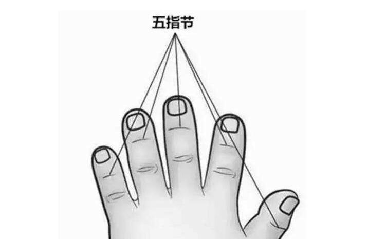 小儿推拿掐五指节的手法