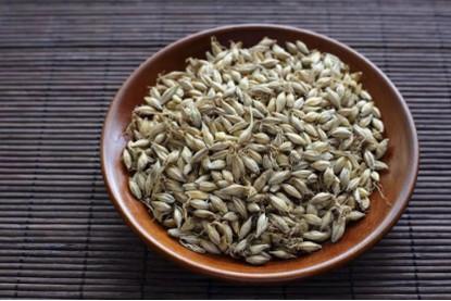 催乳还是回乳？麦芽用对了才管用！