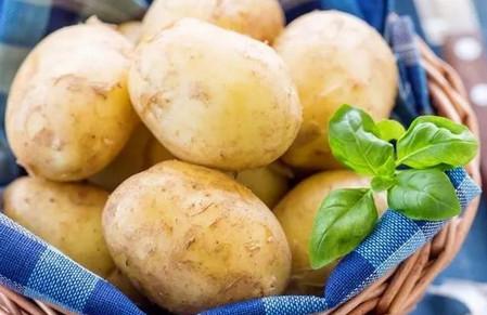 孩子必备蔬菜！你有常给孩子吃的吗？