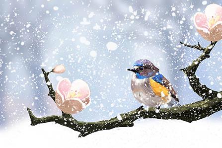 孕妇喝茉莉茶的好处和坏处