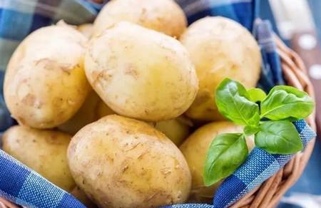 孩子所需蔬菜排行榜，你都给孩子吃了吗？