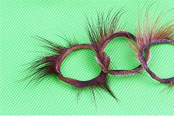 羊眼圈真的能治疗性冷淡吗 羊眼圈真的这么神奇吗？