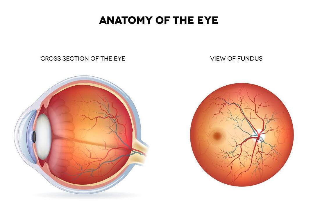 先天性白内障什么症状