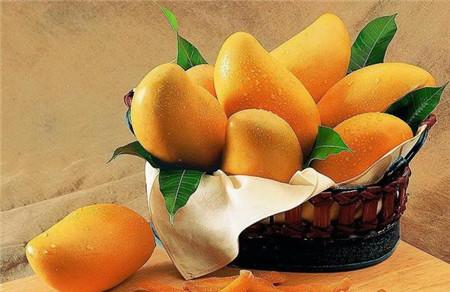 夏天来月经能吃芒果吗 芒果真的那么可怕吗？