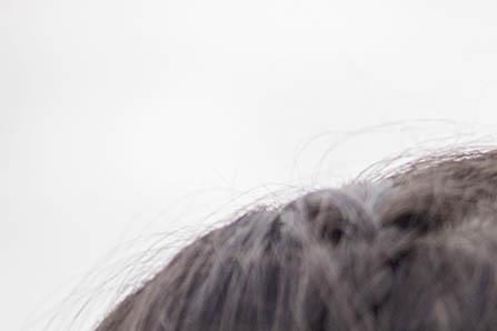 樱桃和提子能一起吃吗 樱桃不能和什么一起吃