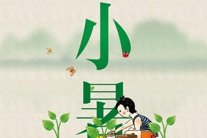 二十四节气小暑的古诗