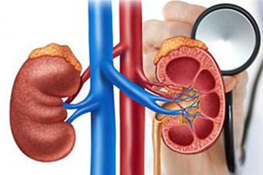 尿路感染会不会引起肾炎 尿路感染跟肾炎有什么关系呢？