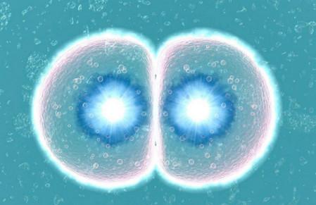 受精卵着床成功需要几天？