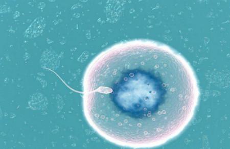 这两个时间点备孕受孕率高，宝宝还健康