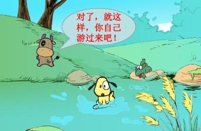 小花狗学游泳的故事