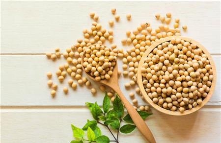 备孕期间怎么提高孕酮 孕酮低就要这样补