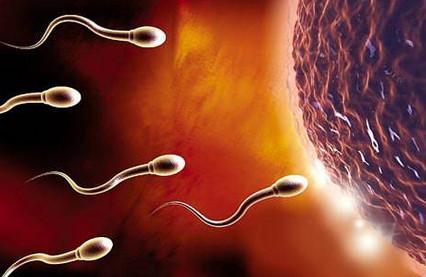 男性想要健康备孕该如何准备