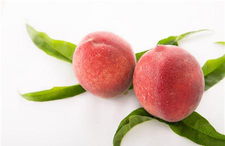 夏天备孕吃什么水果 6种水果好吃又健康！