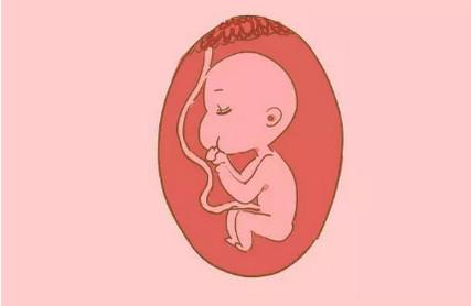怀孕期间胎儿出现这几种情况，出生后可能是个小顽皮！