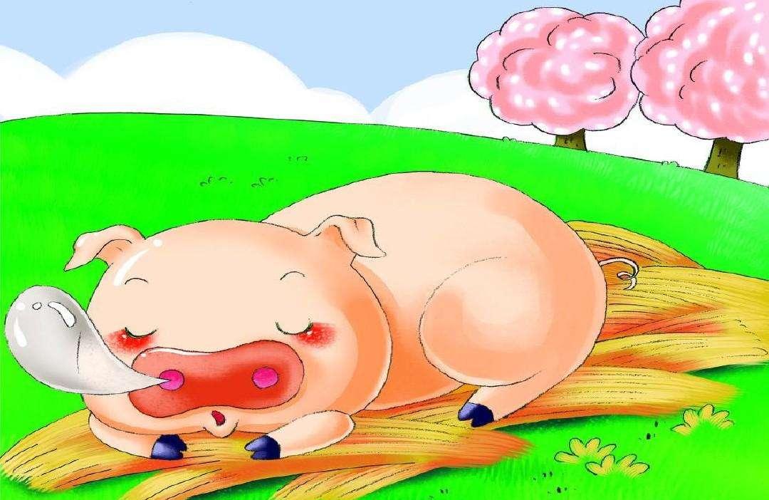 篱笆墙下的垃圾的睡前故事