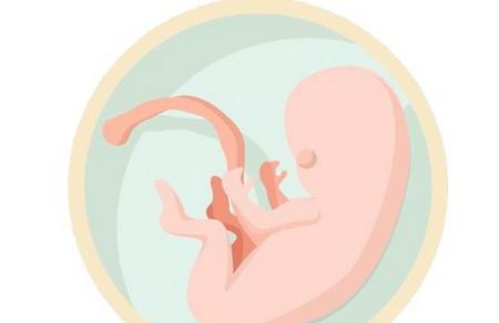 胎宝宝在妈妈肚子里的3月、7月、10月，应该怎么吃？