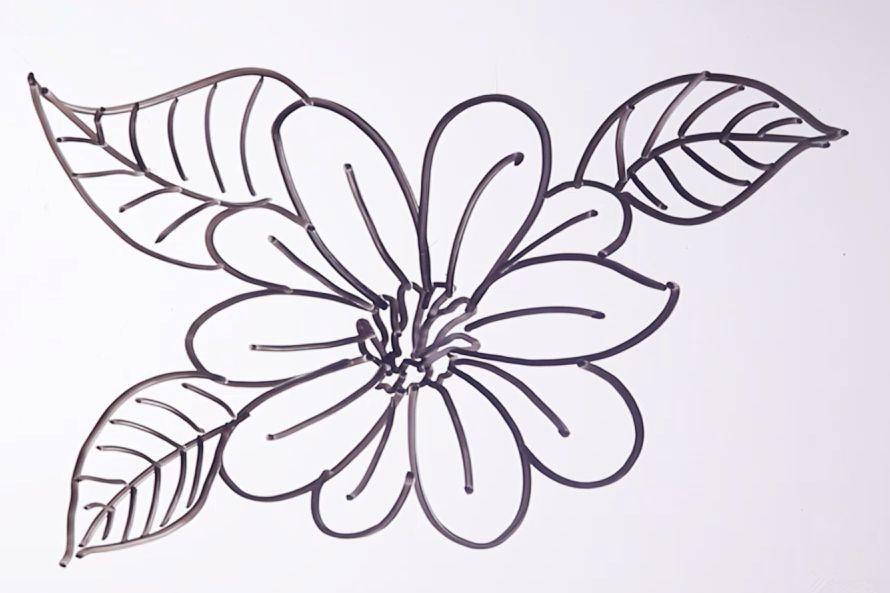 小雏菊简笔画的画法