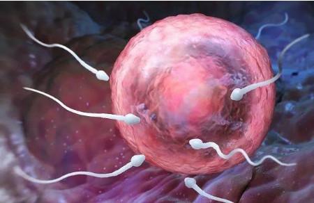 排卵期女性身体4大变化？如何准确计算排卵期？