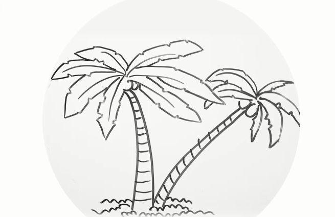 椰子树简笔画步骤图解