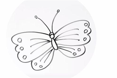 蝴蝶简笔画的画法步骤