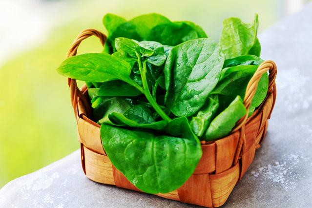 宝宝能吃木耳菜吗